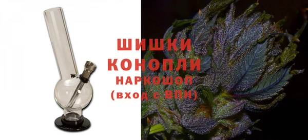 гидра Усмань