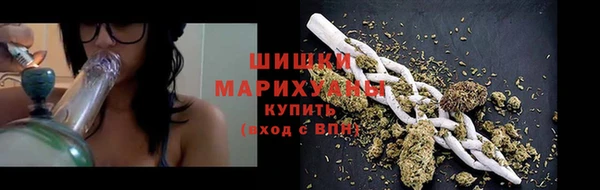 гидра Усмань