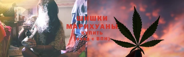 гидра Усмань