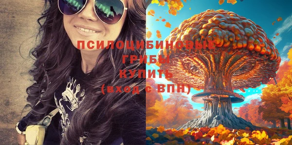 мяу мяу мука Белая Холуница