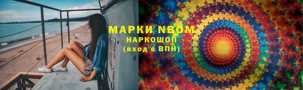 гидра Усмань