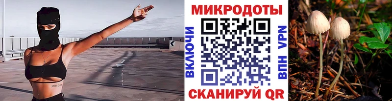 blacksprut зеркало  Алушта  Галлюциногенные грибы прущие грибы 