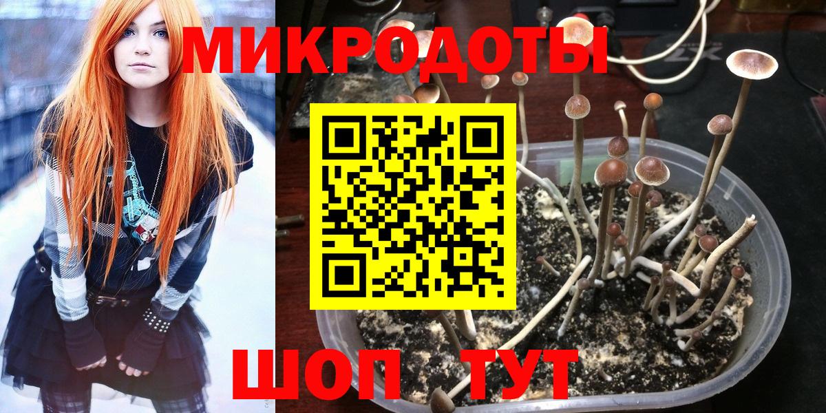 Галлюциногенные грибы GOLDEN TEACHER Алушта