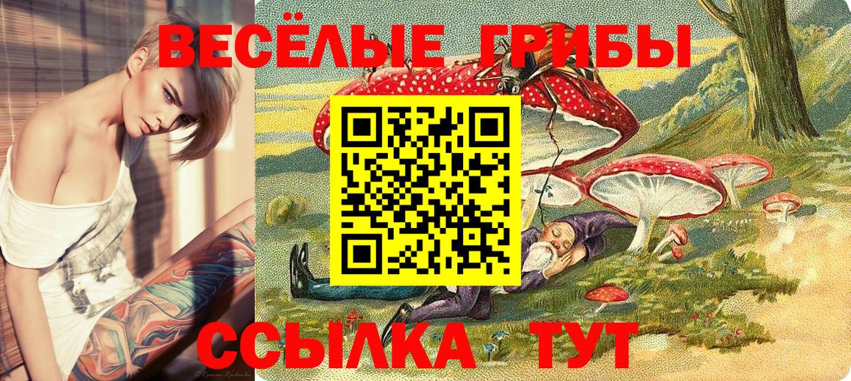 Псилоцибиновые грибы GOLDEN TEACHER  Вход с VPN  Алушта 