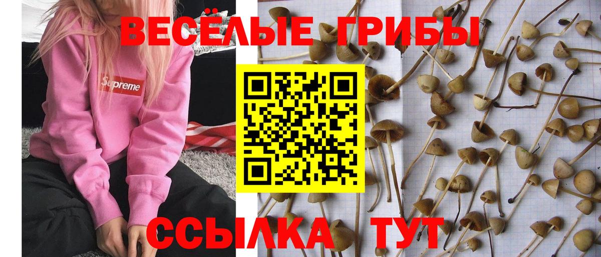 Галлюциногенные грибы Magic Shrooms Алушта