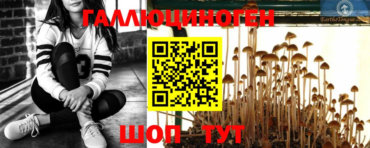 Метадон  Каннабис  Molly  Вход с VPN  Алушта  МЕФ  ГАШИШ 