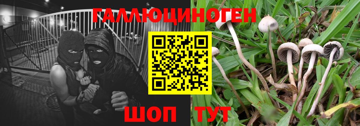 Алушта  Псилоцибиновые грибы мухоморы  Вход с VPN  Псилоцибиновые грибы GOLDEN TEACHER 